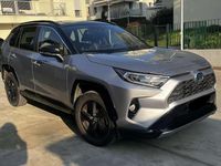 Usata Toyota RAV4 Hybrid Style 222 CV (163 kW) 2020 Argento SUV