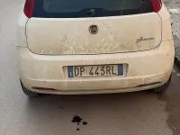 Usata Fiat Grande Punto 75 CV (55 kW) 2009 Bianco Utilitaria