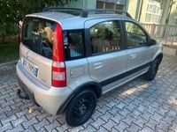 Usata Fiat Panda 4x4 2006 Grigio Utilitaria