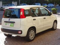 usata Fiat Panda Panda 1.2 Easy