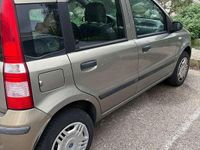 Usata Fiat Panda Dynamic 60 CV (44 kW) 2007 Bronzo Utilitaria