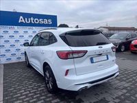 Usata Ford Kuga ST-Line X 224 CV (164 kW) 2020 Bianco SUV