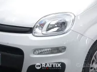 Usata Fiat Panda S 69 CV (50 kW) 2025 Bianco Utilitaria
