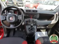 Usata Fiat Panda Lounge 69 CV (50 kW) 2016 Rosso Utilitaria