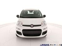 Nuova Fiat Panda Pop 65 CV (47 kW) 2025 Bianco Utilitaria