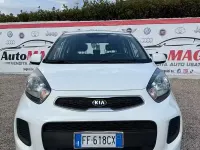 Usata Kia Picanto 67 CV (49 kW) 2016 Bianco Utilitaria