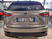 usata Lexus NX300h NX Hybrid 4WD Sport