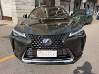 Usata Lexus UX 250h Luxury Line 184 CV (135 kW) 2019 Verde SUV