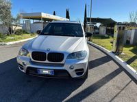 usata BMW X5 xdrive30d Futura auto 8m E5