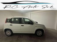 Usata Fiat Panda Easy 69 CV (50 kW) 2020 Bianco Utilitaria
