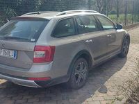 Usata Skoda Octavia Scout 4x4 184 CV (135 kW) 2016 Utilitaria