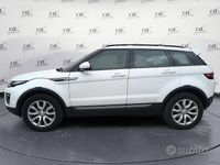 Usata Land Rover Range Rover evoque HSE 150 CV (110 kW) 2016 Bianco SUV