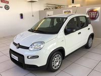 usata Fiat Panda 1.0 FireFly S&S Hybrid - KM0 FCA I...