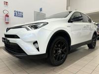 usata Toyota RAV4 EV 