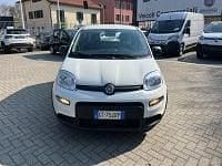 Usata Fiat Panda S 69 CV (50 kW) 2024 Bianco Utilitaria