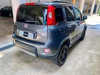 Usata Fiat Panda 4x4 S 85 CV (62 kW) 2018 Grigio Utilitaria