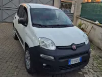 Usata Fiat Panda 4x4 86 CV (63 kW) 2020 Utilitaria