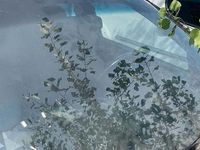 Usata Chevrolet Aveo 2008 Nero Berlina