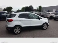 Usata Ford Ecosport 99 CV (72 kW) 2019 Bianco SUV