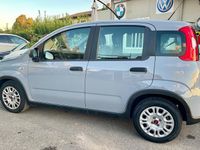 Usata Fiat Panda Red 69 CV (50 kW) 2023 Grigio Utilitaria