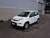 usata Fiat Panda Panda My23 1.0 70cv Hybrid