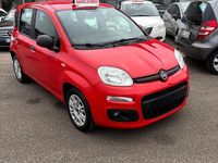 Usata Fiat Panda Easy 95 CV (69 kW) 2019 Rosso Utilitaria