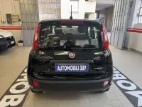Usata Fiat Panda Icon 70 CV (51 kW) 2025 Other Utilitaria