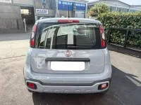 Usata Fiat Panda Cross Cross 69 CV (50 kW) 2021 Grigio Utilitaria