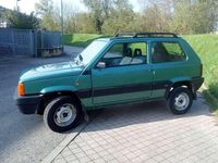 Usata Fiat Panda 4x4 54 CV (39 kW) 2003 Verde Utilitaria