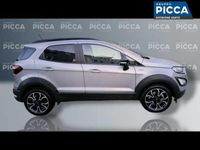 usata Ford Ecosport 1.0 EcoBoost 125 CV Start&Stop Active del 2021 usata a Molfetta