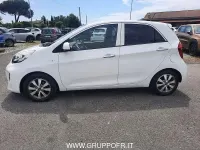 Usata Kia Picanto 69 CV (50 kW) 2017 Bianco Utilitaria