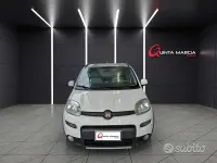 Usata Fiat Panda 4x4 95 CV (69 kW) 2016 Bianco Utilitaria