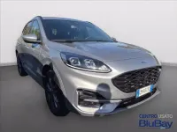 Usata Ford Kuga ST-Line 150 CV (110 kW) 2023 Argento SUV