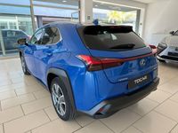 usata Lexus UX 300e UX 300eLuxury