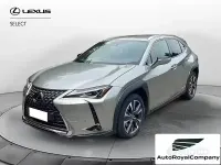 Usata Lexus UX 183 CV (134 kW) 2019 Grigio SUV