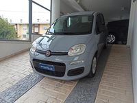 Usata Fiat Panda Easy 69 CV (50 kW) 2019 Grigio Utilitaria