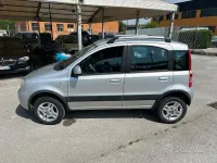 Usata Fiat Panda 4x4 Climbing 75 CV (55 kW) 2012 Grigio Utilitaria