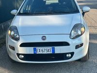 Usata Fiat Punto Lounge 77 CV (56 kW) 2014 Bianco Utilitaria