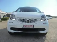Usata Smart ForFour Passion 71 CV (52 kW) 2019 Bianco pastello Utilitaria