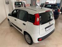 usata Fiat Panda 1.2 OK NEOPATENTATI