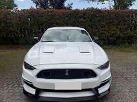 Usata Ford Mustang Fastback 317 CV (233 kW) 2020 Coupé