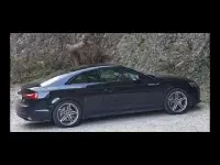 Usata Audi A5 Business 204 CV (150 kW) 2021 Nero Coupé