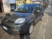 Usata Fiat Panda 69 CV (50 kW) 2022 Grigio Utilitaria