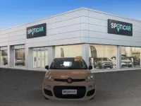 Usata Fiat Panda Easy 69 CV (50 kW) 2016 Beige Utilitaria