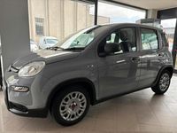 Usata Fiat Panda City Life 70 CV (51 kW) 2023 Grigio Utilitaria