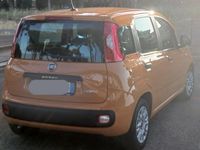 Usata Fiat Panda 70 CV (51 kW) 2020 Giallo Utilitaria