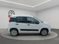Usata Fiat Panda 4x4 Pop 85 CV (62 kW) 2020 Bianco Utilitaria