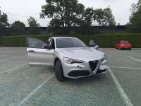 Usata Alfa Romeo Stelvio 160 CV (117 kW) 2021 Argento SUV