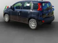 Nuova Fiat Panda Icon 69 CV (50 kW) 2025 Nero Utilitaria