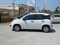 Usata Fiat Panda Easy 69 CV (50 kW) 2020 Bianco Utilitaria